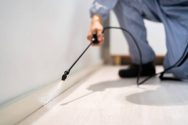 Licensed Fumigation Services service in Central Garage, VA - Nex Pest Control