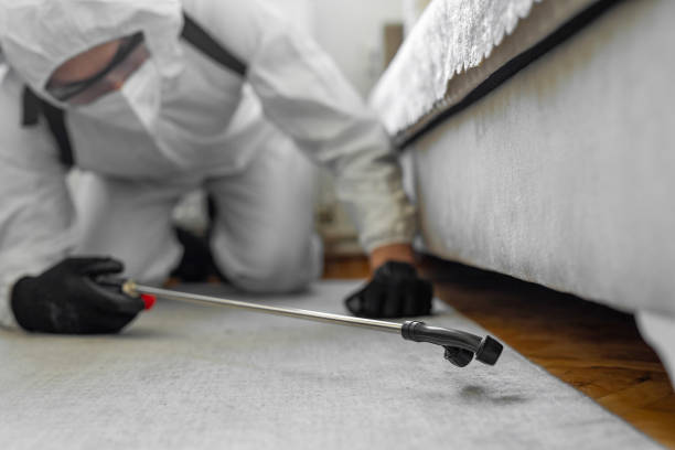Professional Fumigation Services technician working in Central Garage, VA