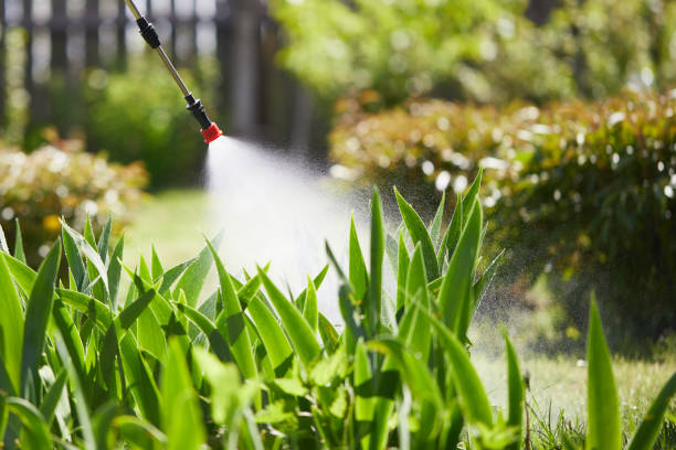 24/7 Emergency Fumigation Services experts in Central Garage, VA