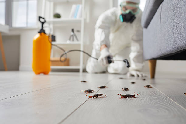 Trusted Cockroach Control service in Central Garage, VA - Nex Pest Control